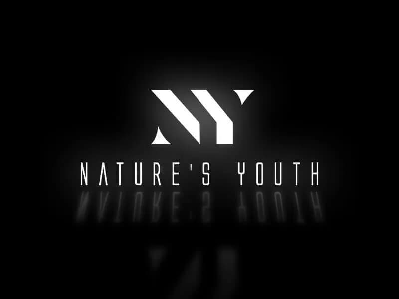 Typographic logo design from the Fragile Logic Studio portfolio