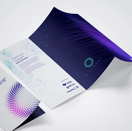 Print design design from the Fragile Logic Studio portfolio